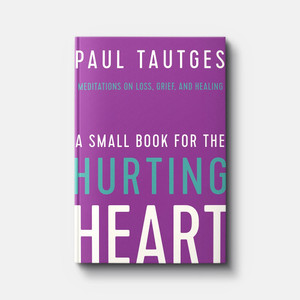 A Small Book for the Hurting Heart: Meditations on Loss, Grief, and Healing