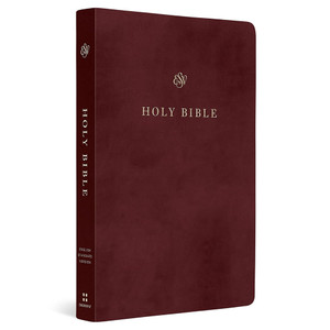 ESV Gift and Award Bible (TruTone, Burgundy) - Case of 16