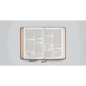 ESV Bible with Creeds and Confessions (TruTone, Brown, Cross Trefoil Design) - Case of 10