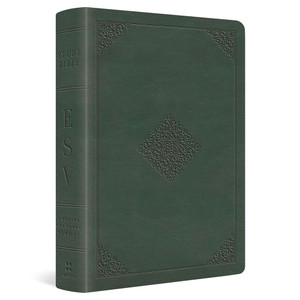 ESV Study Bible, Personal Size (TruTone, Quiet Forest, Ornament Design) - Case of 12