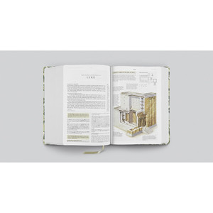 ESV Study Bible, Artist Series (Cloth over Board, Lulie Wallace, Martha) - Case of 6