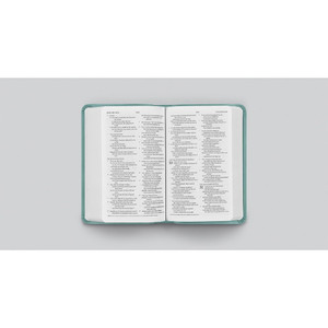 ESV Value Compact Bible (TruTone, Paris Sky, Branch Design) - Case of 36