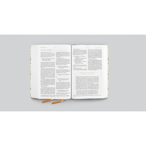 ESV Everyday Gospel Bible, Artist Series (Cloth over Board) - Case of 12