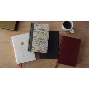 ESV Everyday Gospel Bible, Artist Series (Cloth over Board) - Case of 12