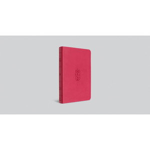 ESV Kid's Bible, Thinline, Red Letter (TruTone, Berry, The True Vine Design) - Case of 12