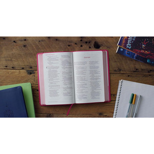 ESV Kid's Bible, Thinline, Red Letter (TruTone, Berry, The True Vine Design) - Case of 12