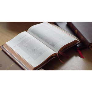 ESV Heirloom Bible, Gloria Dei: Single Column Edition (Calfskin, Mahogany)
