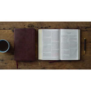 ESV Large Print Thinline Bible, Red Letter (TruTone, Mahogany) - Case of 14