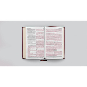 ESV Large Print Thinline Bible, Red Letter (TruTone, Mahogany) - Case of 14