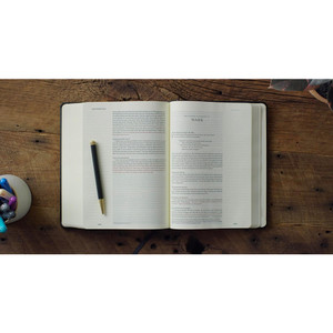 ESV Single Column Journaling Bible, Red Letter (Original, Black) - Case of 8