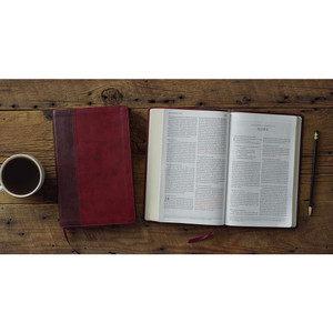 ESV Large Print Thinline Bible, Red Letter (TruTone, Burgundy/Red, Timeless Design) - Case of 14