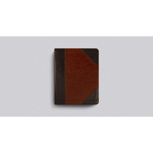 ESV Single Column Journaling Bible (TruTone, Brown/Cordovan, Portfolio Design) - Case of 8