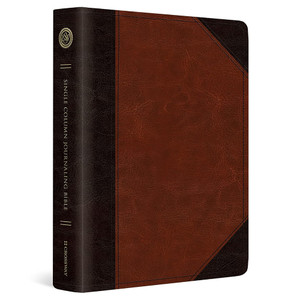 ESV Single Column Journaling Bible (TruTone, Brown/Cordovan, Portfolio Design) - Case of 8