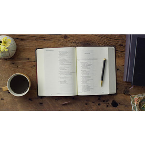 ESV Single Column Journaling Bible (TruTone, Brown/Cordovan, Portfolio Design) - Case of 8