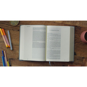ESV Single Column Journaling Bible, Large Print (TruTone, Paris Sky, Judges 5:3 Design) - Case of 8