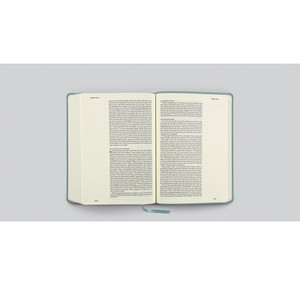 ESV Single Column Journaling Bible, Large Print (TruTone, Paris Sky, Judges 5:3 Design) - Case of 8