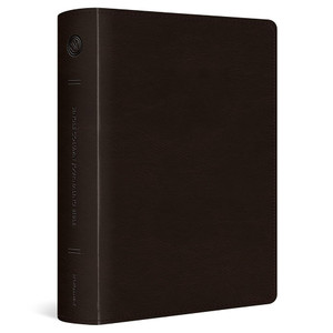 ESV Single Column Journaling Bible (TruTone Deep Brown, Large Print) - Case of 10