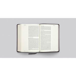 ESV Single Column Journaling Bible (TruTone Deep Brown, Large Print) - Case of 10