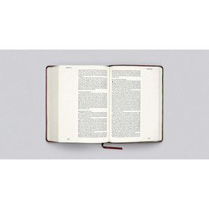 ESV Single Column Journaling Bible, Large Print (TruTone Burgundy/Red) - Case of 10