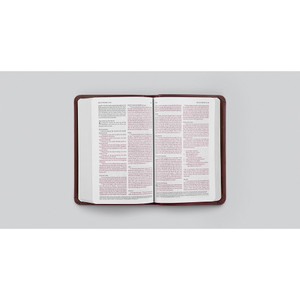 ESV Value Compact Bible, Red Letter - TruTone, Brown - Case of 36