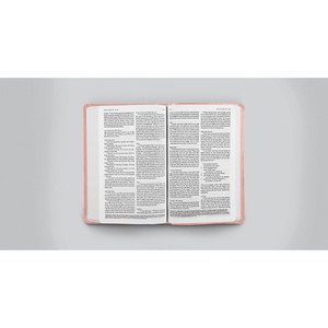 ESV Premium Church Bible, TruTone, Blush Rose - Case of 24