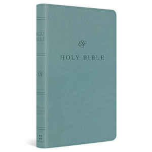 ESV Premium Church Bible, TruTone, Paris Sky - Case of 24