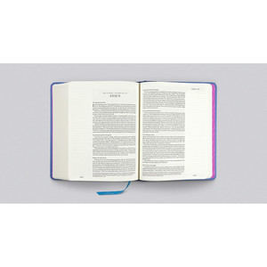 ESV Single Column Journaling Bible, Artist Series (Hardcover, Jess Phoenix, Garden) - Case of 8