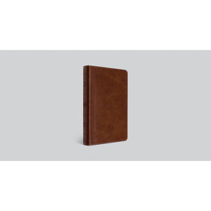 ESV Large Print Bible (TruTone, Deep Brown) - Case of 10