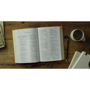 ESV Large Print Bible (TruTone, Nubuck Caramel, Fleur-de-lis Design) - Case of 10