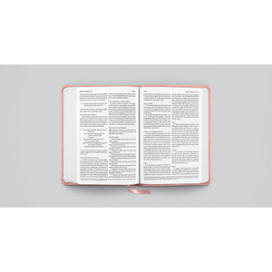 ESV Large Print Compact Bible (TruTone, Blush Rose) - Case of 28