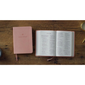 ESV Large Print Compact Bible (TruTone, Blush Rose) - Case of 28