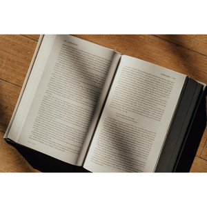 NIV Lectio Bible, A Simple, Ancient Way to Read the Library of Scripture - Cloth over Board - Case of 10