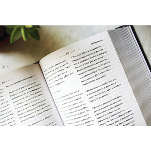 NIV Clear Focus Bible, Hardcover, Charcoal/Copper - Case of 8