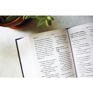 NIV Clear Focus Bible, Hardcover, Charcoal/Copper - Case of 8