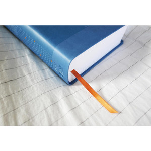 NIrV Clear Focus Bible for Kids (Help Kids with ADHD or Dyslexia, Read with Confidence) Leathersoft, Blue - Case of 8