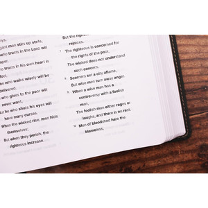 NASB Clear Focus Bible, Leathersoft, Charcoal Brown, 1995 Text - Case of 8