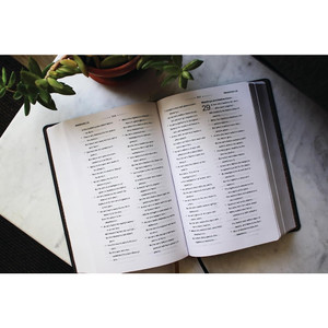 NASB Clear Focus Bible, Leathersoft, Charcoal Brown, 1995 Text - Case of 8