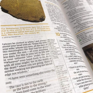 NIV Study Bible, Fully Revised Edition, Large Print (Leathersoft, Brown, Red Letter, Thumb Indexed)
