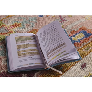 KJV Sanctuary in the Psalms: Promise Book, Leathersoft, Blue - Bulk Case of 42