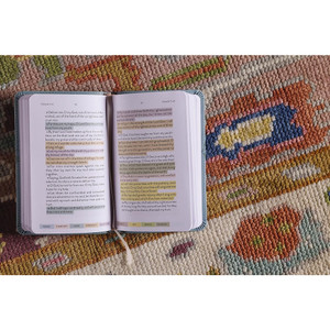 KJV Sanctuary in the Psalms: Promise Book, Leathersoft, Blue - Bulk Case of 42