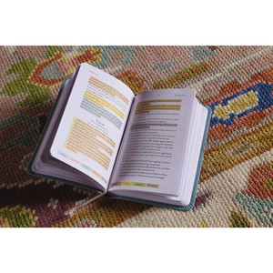 KJV Sanctuary in the Psalms: Promise Book, Leathersoft, Blue - Bulk Case of 42
