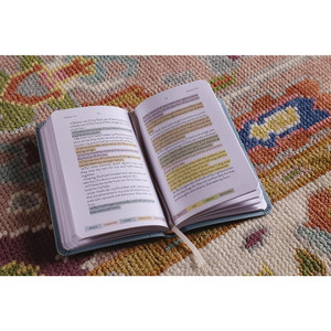 KJV Sanctuary in the Psalms: Promise Book, Leathersoft, Blue - Bulk Case of 42