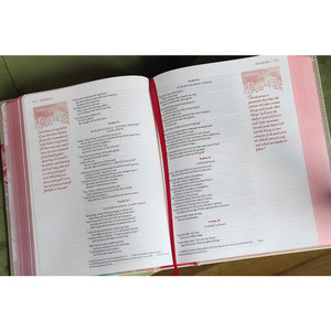 NIV Journal the Word Bible for Teen Girls, Leathersoft over Board, Gold/Floral, Red Letter - Case of 12