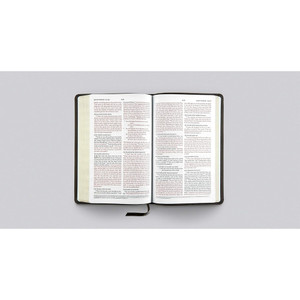 ESV Thinline Bible, Red Letter (Buffalo Leather, Deep Brown)