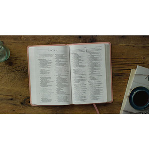 ESV Thinline Bible - TruTone Blush Rose, Emblem Design - Case of 20