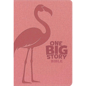 KJV One Big Story Bible, Revised & Updated, Easy-to-Read Optimal Type, Pink LeatherTouch, Indexed - Case of 18