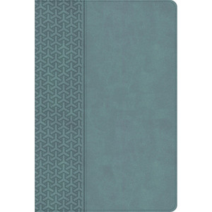 KJV Everyday Study Bible, Earthen Teal LeatherTouch - Case of 12
