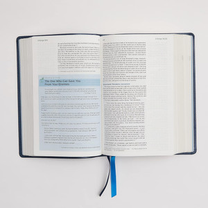 NIV Lucado Encouraging Word Bible, Leathersoft, Blue, Comfort Print - Case of 8