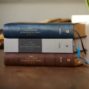 NIV Lucado Encouraging Word Bible, Leathersoft, Blue, Comfort Print - Case of 8