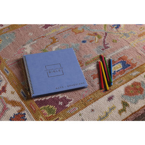 NIV Spiral-bound Illustrating Bible: Acts - Ephesians, Leathersoft Spiral, Blue - Case of 16